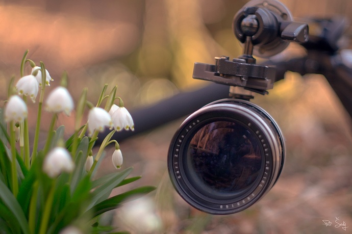 Warum ständig nur Blumen fotografieren? Experimentieren Sie mit der Schärfentiefe und den Blumen als Ergänzung zum Foto. Autor: Petr Šedý.