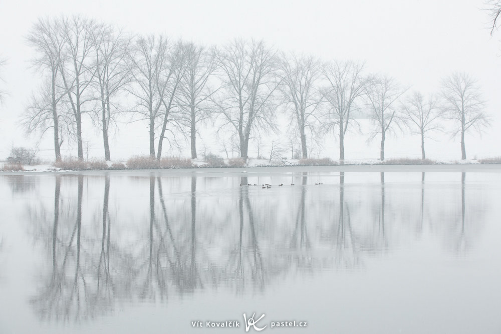 Originální fotografie, která je už od počátku téměř černobílá. Canon 5D Mark II, Canon EF 70-200/2,8 II IS, 1/80 s, f/8, ISO 100, ohnisko 85 mm 