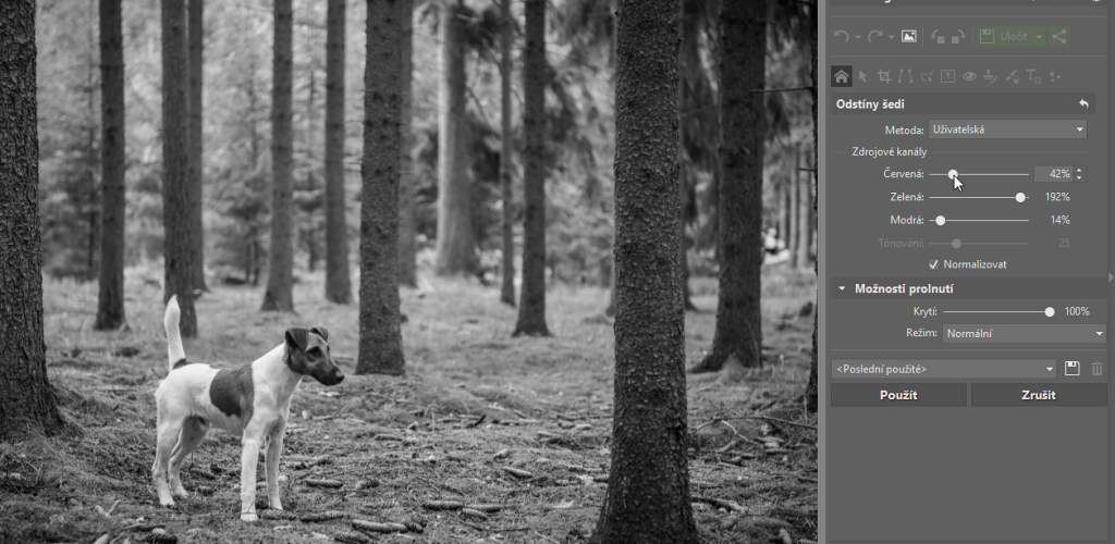 Jak na černobílou fotografii: uživatelská metoda převodu do černobílé.