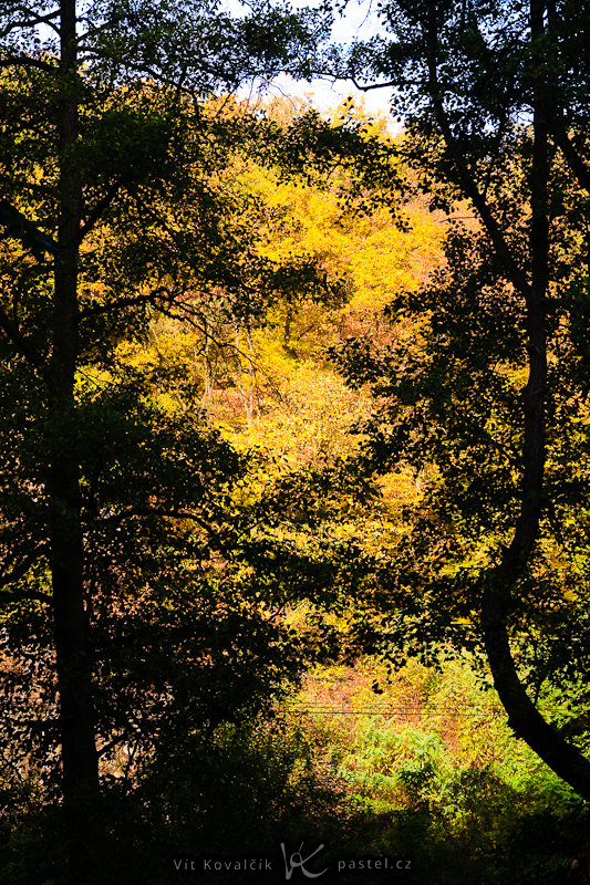 V dálce se skrývají podzimní barvy orámované černými siluetami stromů v popředí. Canon 40D, Sigma 18-50 mm F2,8, 1/50 s, F8,0, ISO 200, ohnisko 50 mm.jpg