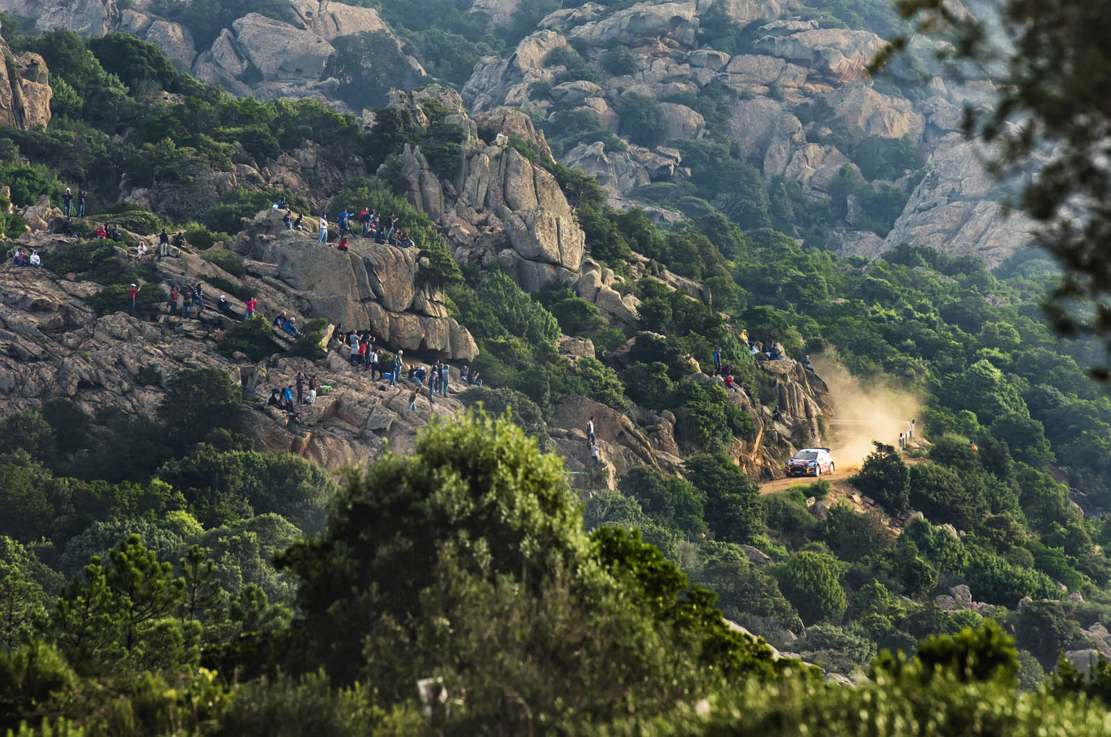 WRC Sardinie 2012. Nikon D800, AF-S Nikkor 70–200 mm F2,8G ED VR II, 1/1000 s, F6,3, ISO 500, ohnisko 200 mm.jpg
