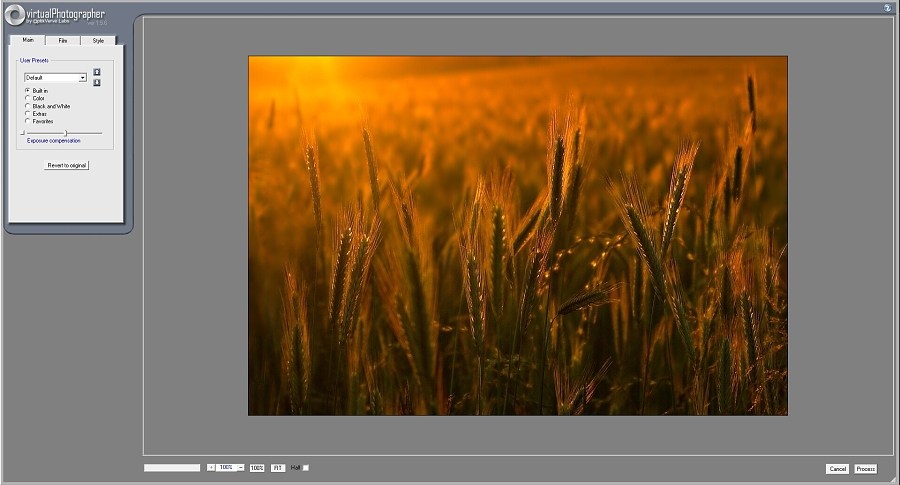 Pracovní prostředí VirtualPhotographer na vás bude mluvit anglicky.jpg