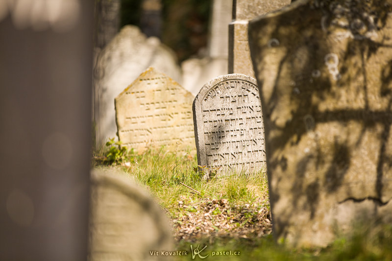 Ze židovského hřbitova v Mikulově mám spousty fotek, ale nakonec se do průvodce žádná nevešla. Canon 5D Mark II, Canon EF 70-200 mm F2,8 IS II USM, 1/640 s, F2,8, ISO 100, ohnisko 200 mm.jpg