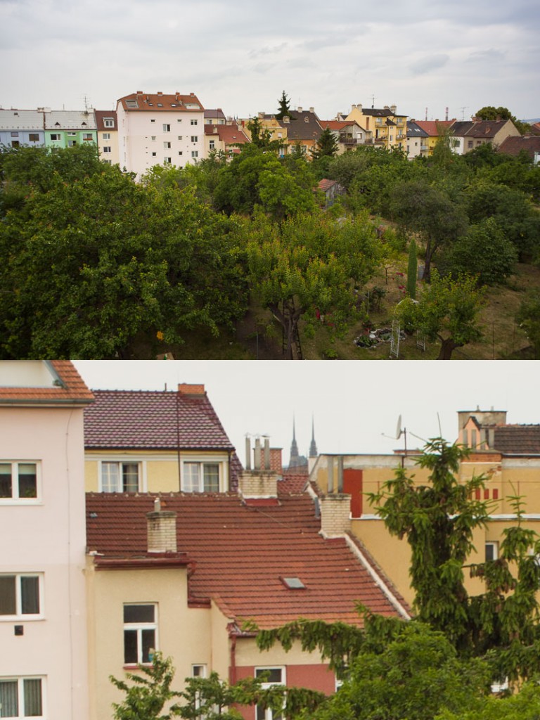 Rozlišení je naprosto postačující pro většinu použití. Canon EOS 5D Mark III, Macro-Revuenon 24 mm F4, 1/40 s, F8, ISO 100.jpg