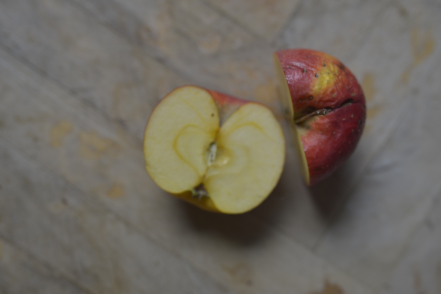Surová fotografie má velmi měkké světlo. Pro ukázku nekontrastní úpravy se skvěle hodí.jpg