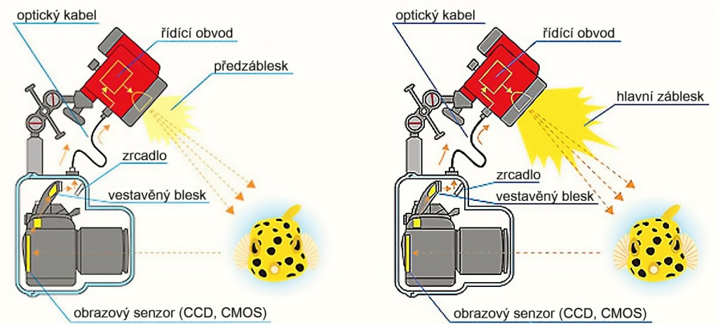 Záblesky vestavěného blesku jsou optickým kabelem přivedeny do externího STTL blesku, který pak sám odpálí předzáblesk a intenzivní hlavní záblesk pro snímek.jpg