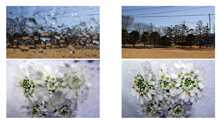 Screenshot_1