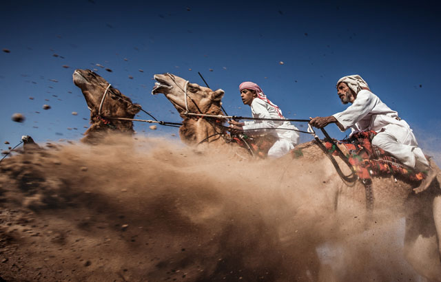 3. místo – Camel Ardah, Ahmed Al Toqi