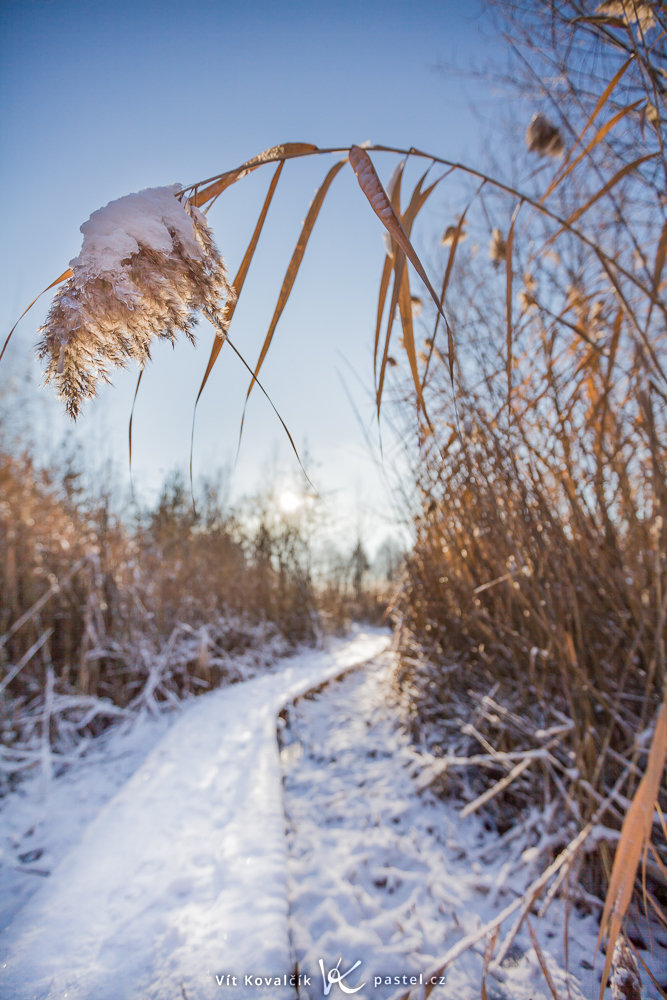 Clona f/2.8. Canon 5D Mark II, Canon EF 16–35/2.8 II, 1/3200 s, f/2.8, ISO 100, ohnisko 16 mm