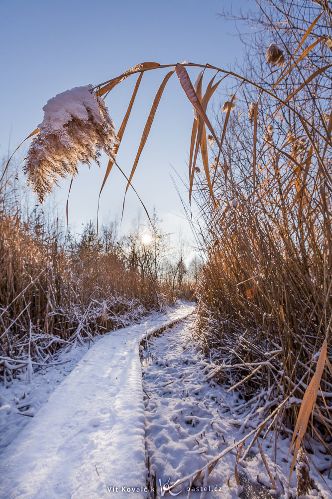Clona je tentokrát f/9. Canon 5D Mark II, Canon EF 16–35/2.8 II, 1/320 s, f/9,0, ISO 100, ohnisko 16 mm