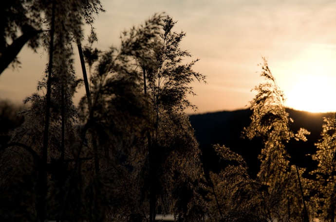 Na jedné straně snímku stín, na druhé světlo zapadajícího slunce. Krásná fotografie s melancholickým nádechem. Autor: Zdeněk Minařík
