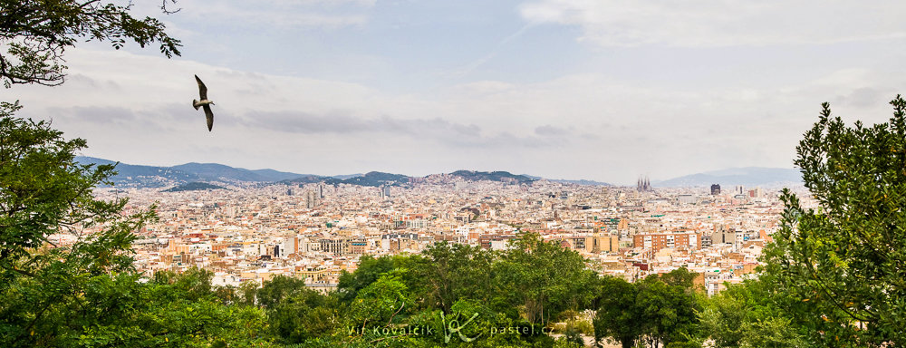 Panorama Barcelony z kopce Montjuic, složené ze tří záběrů. Racek létal okolo, tak jsem si počkal, až se bude hodit do kompozice fotografie.jpg