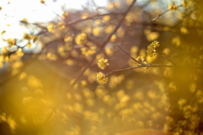 Autor: Katerina Skopalová