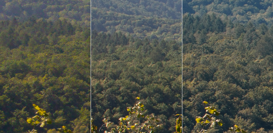 Srovnání detailu lesa ve skutečně velikosti (po rozkliknutí). Zleva LG G4, Canon 350D a Canon 5D Mark III. Kvůli různému počtu megapixelů odpovídají různě velkým kusům lesa.jpg