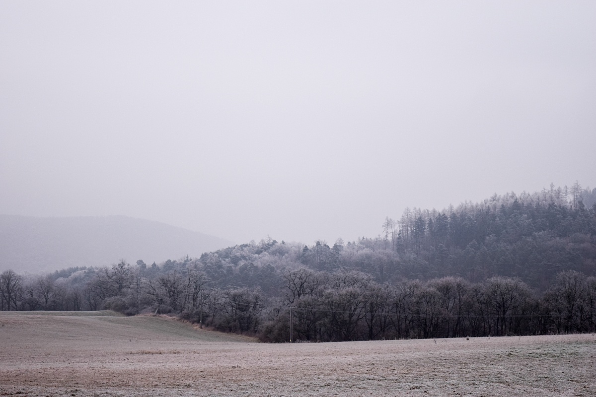 Všeobjímající zimní mlha v lesích. Nikon D3300, AF-S NIKKOR 18-55 mm 1:3.5-5.6 G II, 1/200 s, f/5.6, ISO 200, ohnisko 55 mm