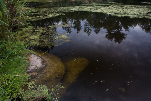 Fotografování vody s polarizačním filtrem.