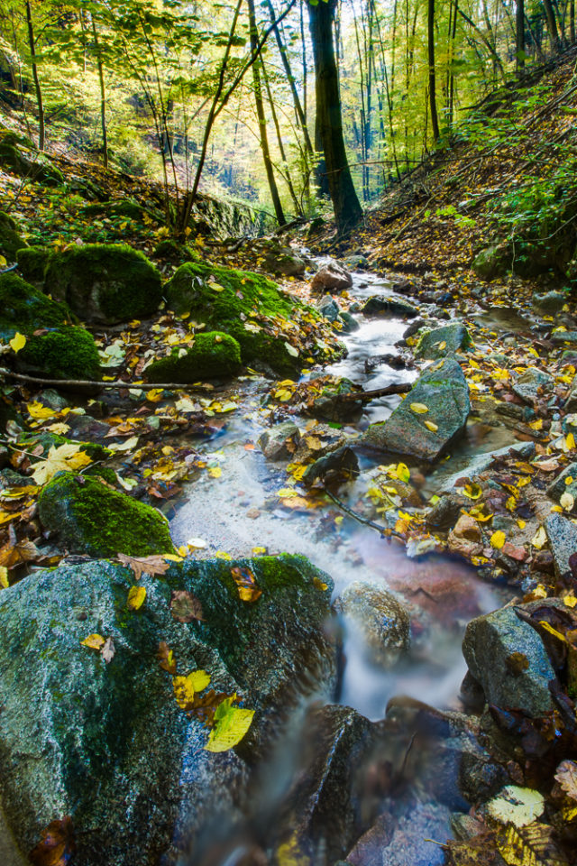 Fotografie tekoucí vody v přírodě.