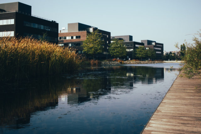 Jak fotit architekturu: moderní budovy.