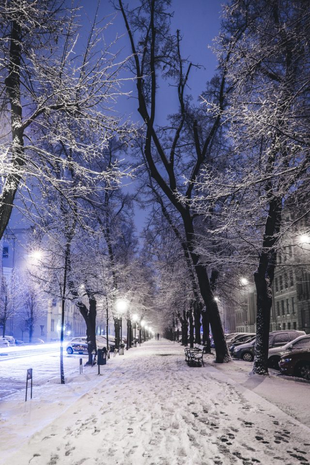 Focení města v zimě: zasněžená alej.