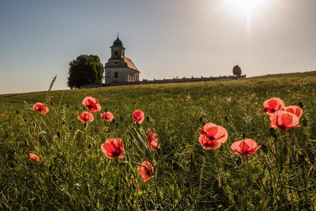 Jak vylepšit kompozici fotografie: kaplička s vlčím mákem.