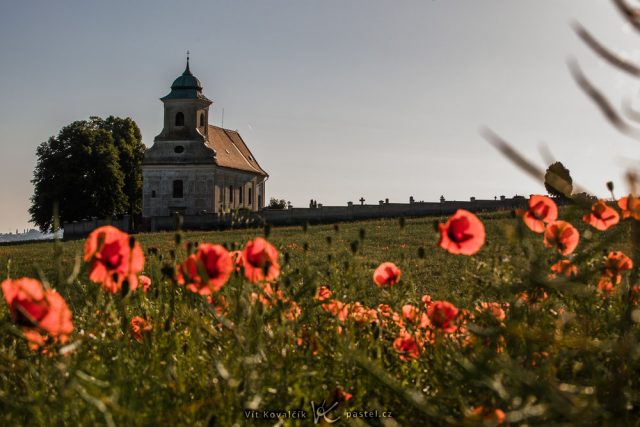 Jak vylepšit kompozici fotografie: Zaostřená kaplička s vlčím mákem v popředí.