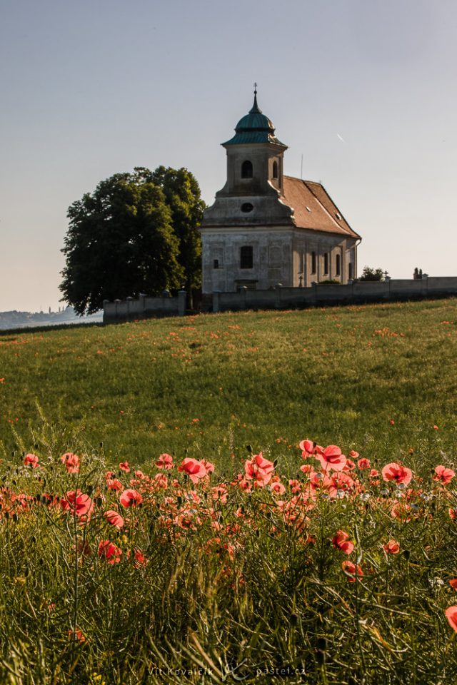 Jak vylepšit kompozici fotografie: vertikální kompozice kapličky a vlčího máku.