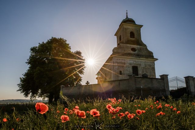 Jak vylepšit kompozici fotografie: kaplička s vlčím mákem z větší blízkosti.