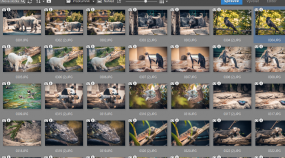 Ušetřete místo na disku aneb jak najít a smazat duplicitní fotky