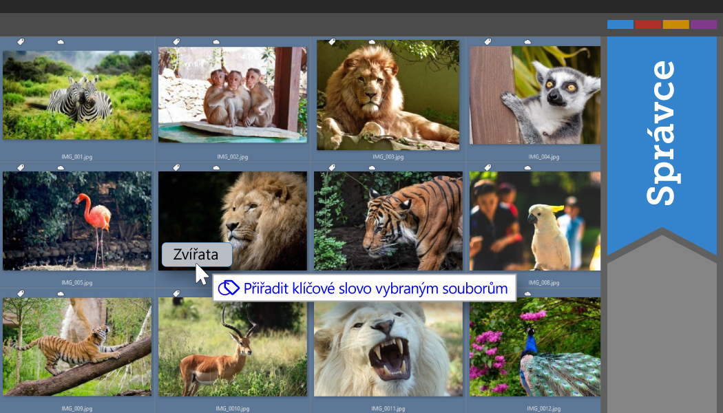 [Infografika] Jak přidat fotkám klíčová slova