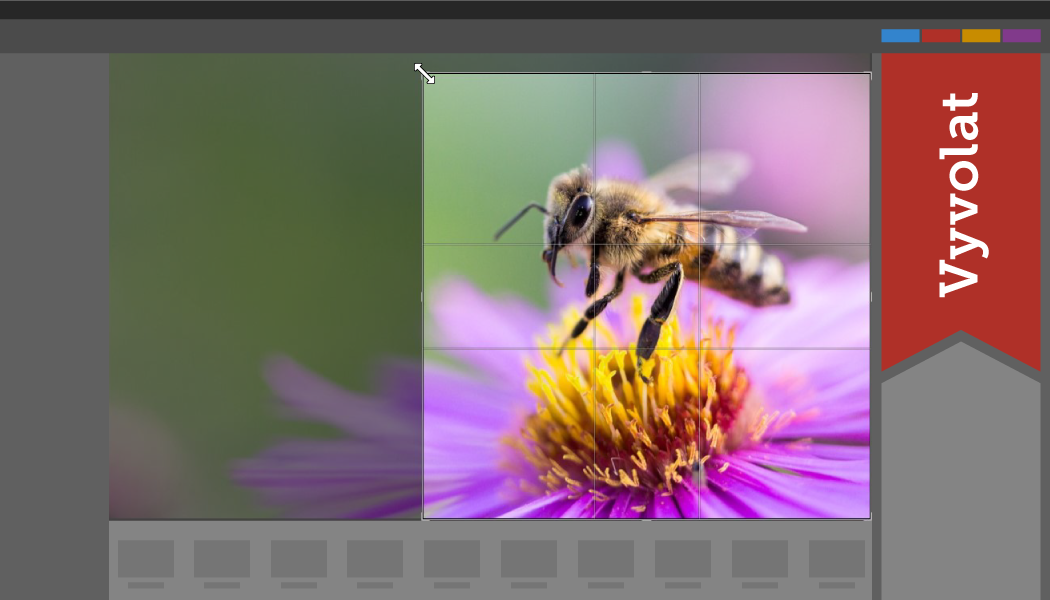 [Infografika] Jak ořezat fotky