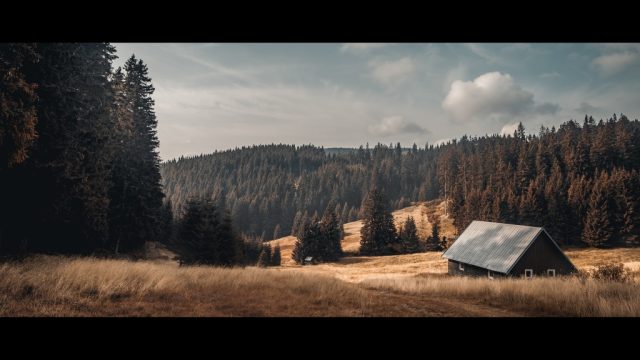 Ořez: film look