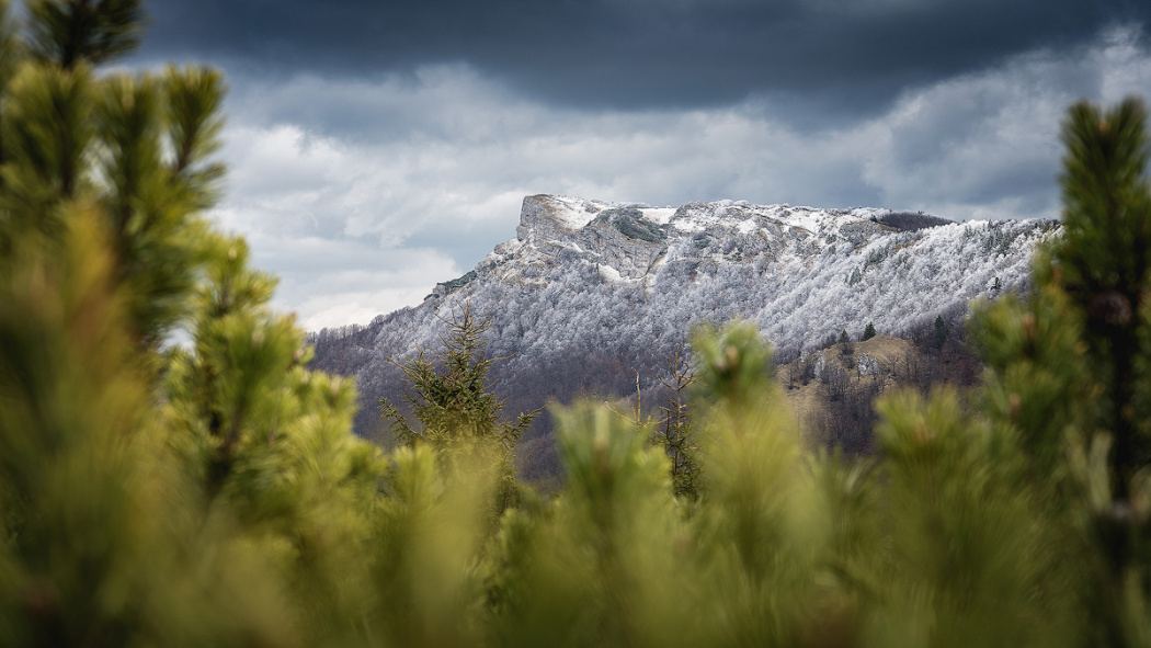 fotografie zima krajina panorama hory snih