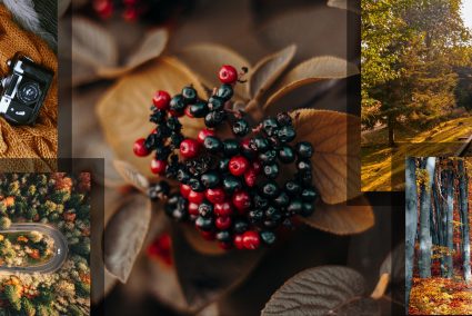 Vytvořte si vlastní koláž v ZPS X. S novými funkcemi to zvládnete ještě lépe a snadněji