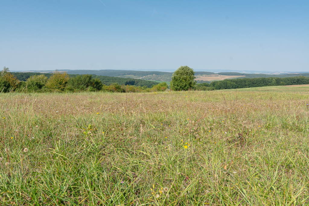 Změna světla v krajině - krajina v poledne