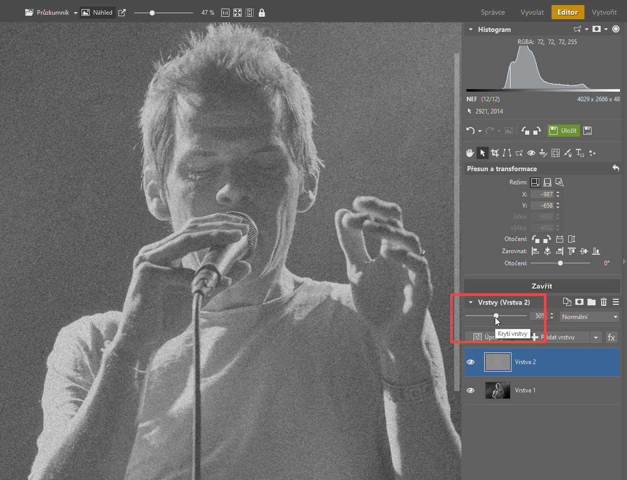 Přidáváme zrno do černobílé fotografie: 2 způsoby, jak na to