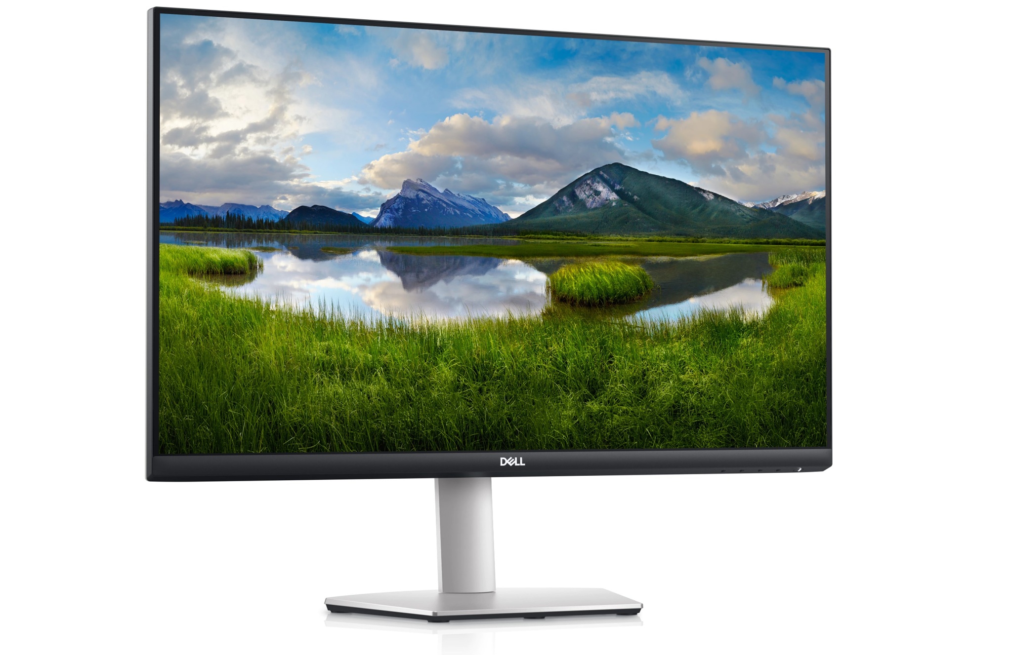 monitor pro fotografy dell