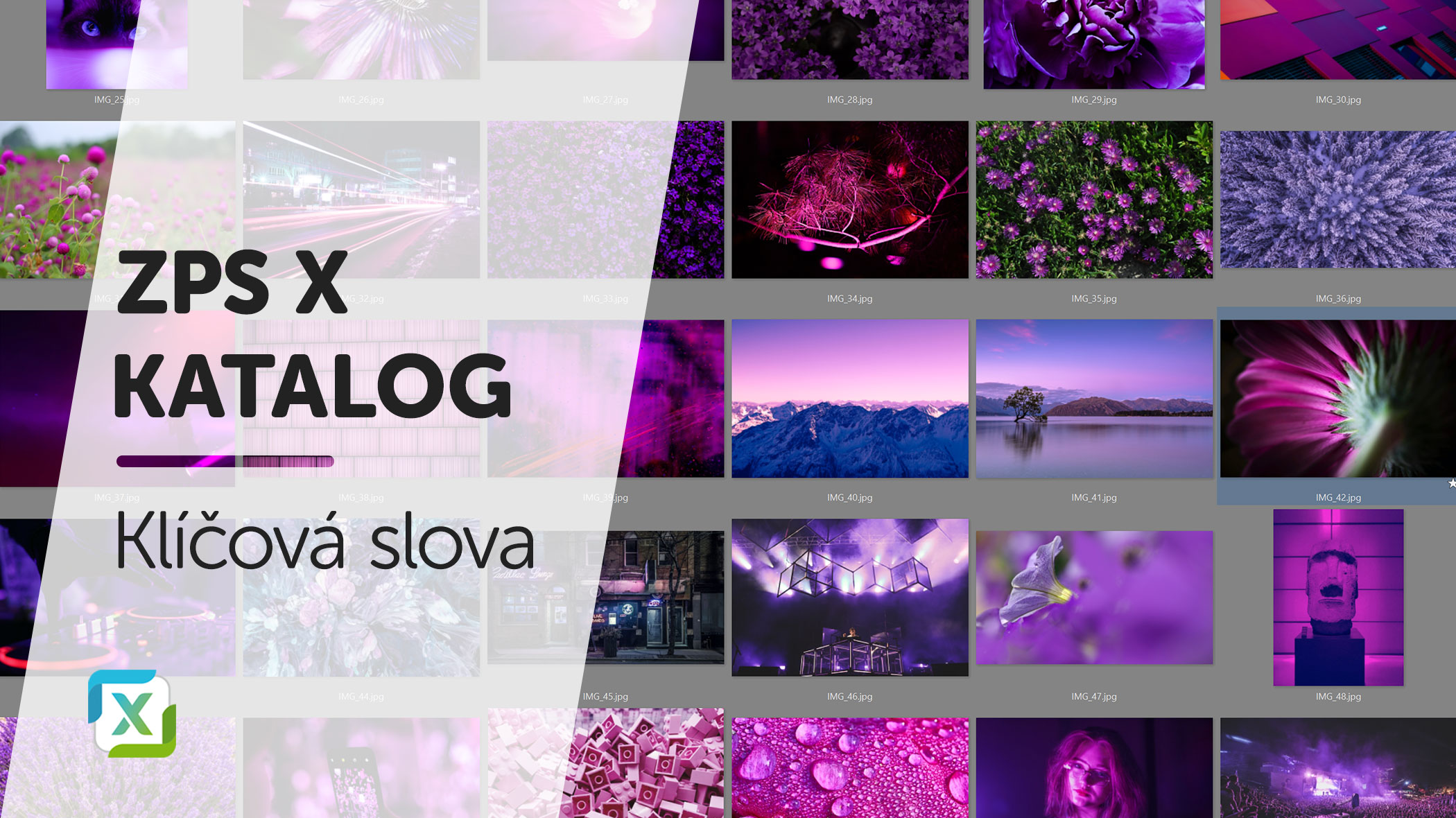 VIDEO: Katalog – Jak na klíčová slova