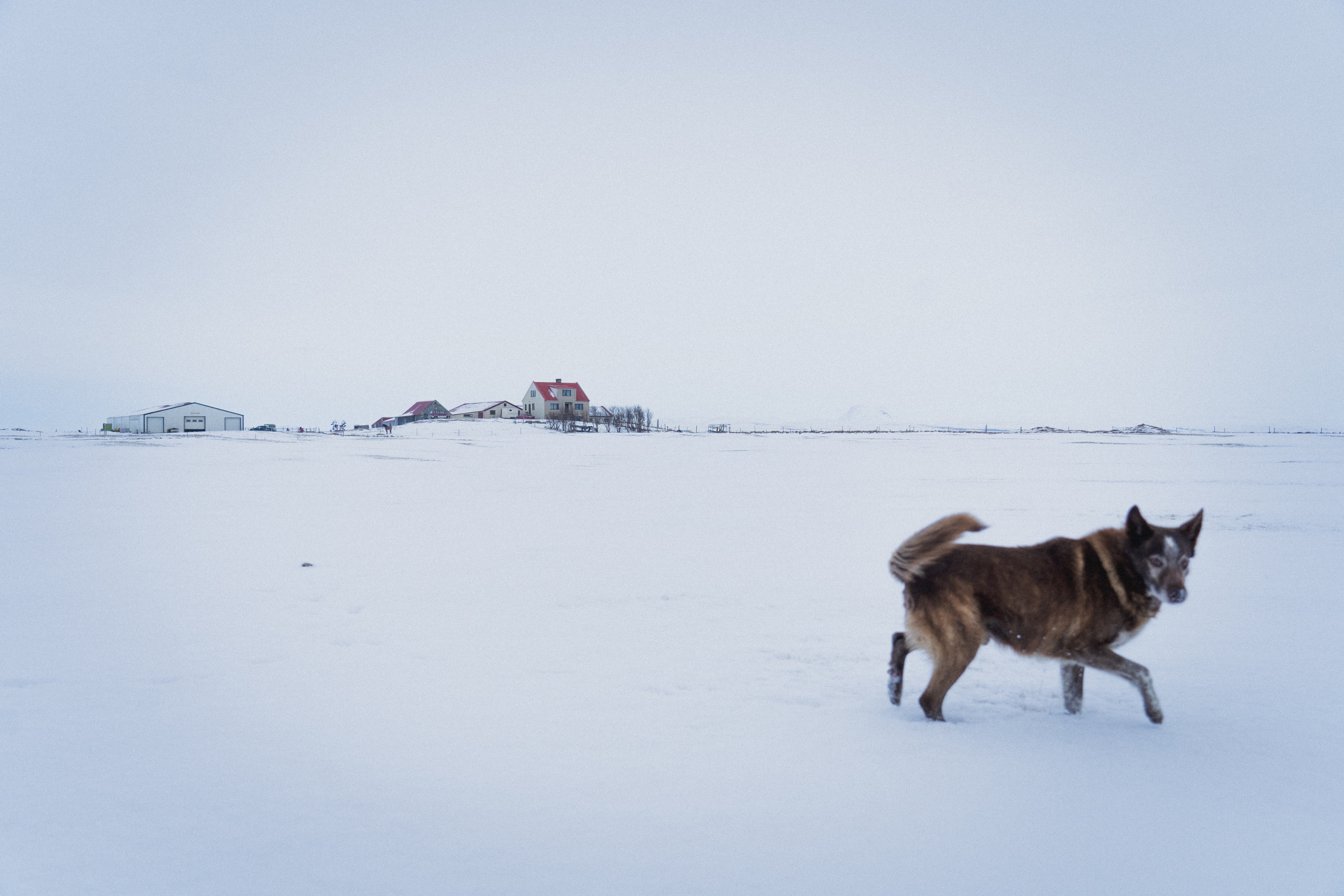 Zimní fotografické cvičení: Vytvořte zimní fotografickou sérii
