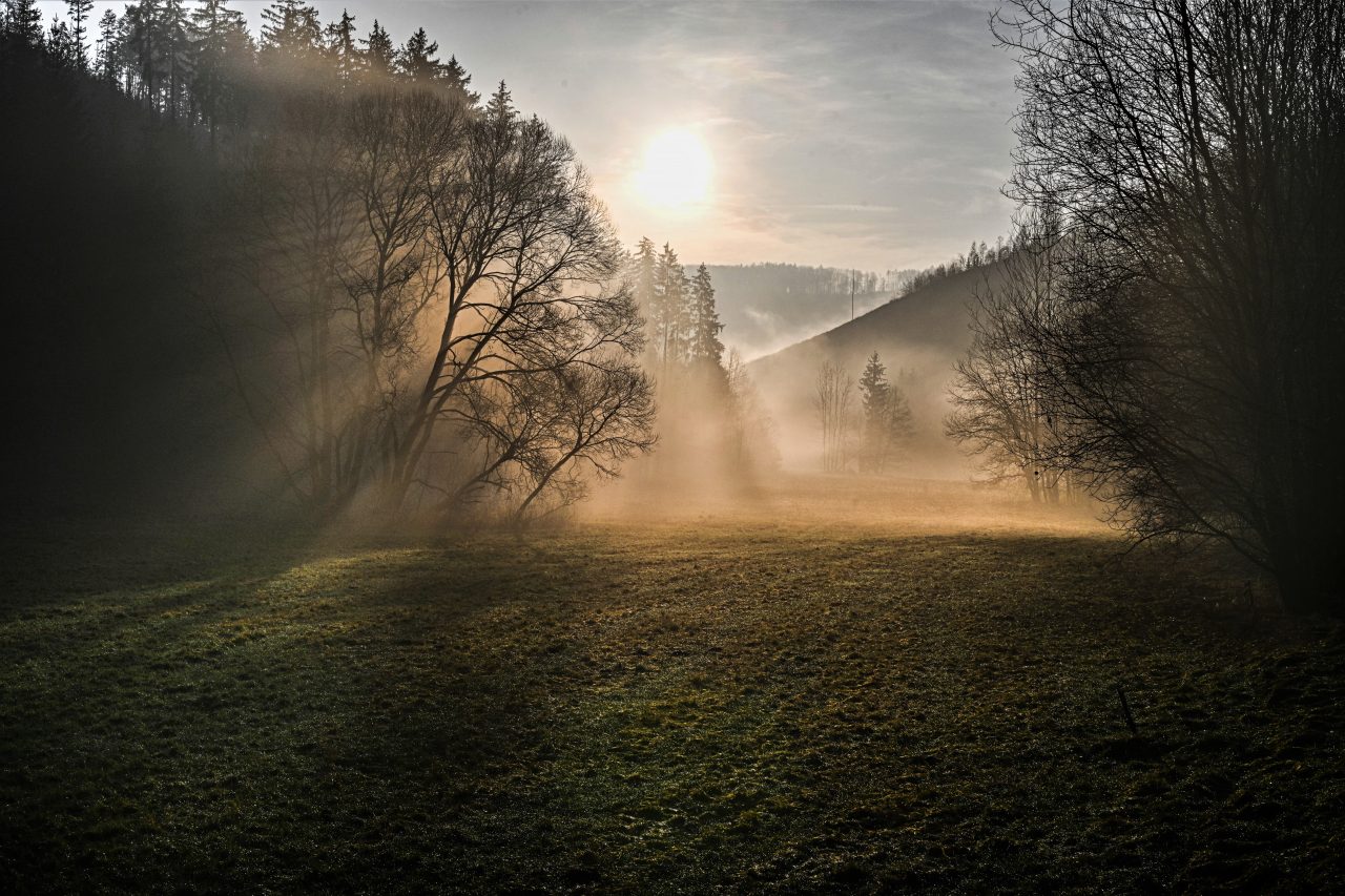 TOP 10, Tajemná podzimní mlha, dalších 20 do galerie