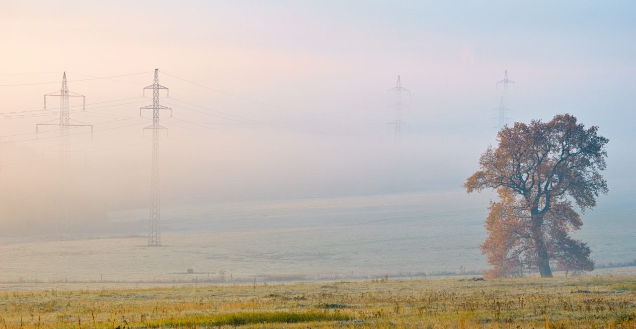 TOP 10, Tajemná podzimní mlha, dalších 20 do galerie