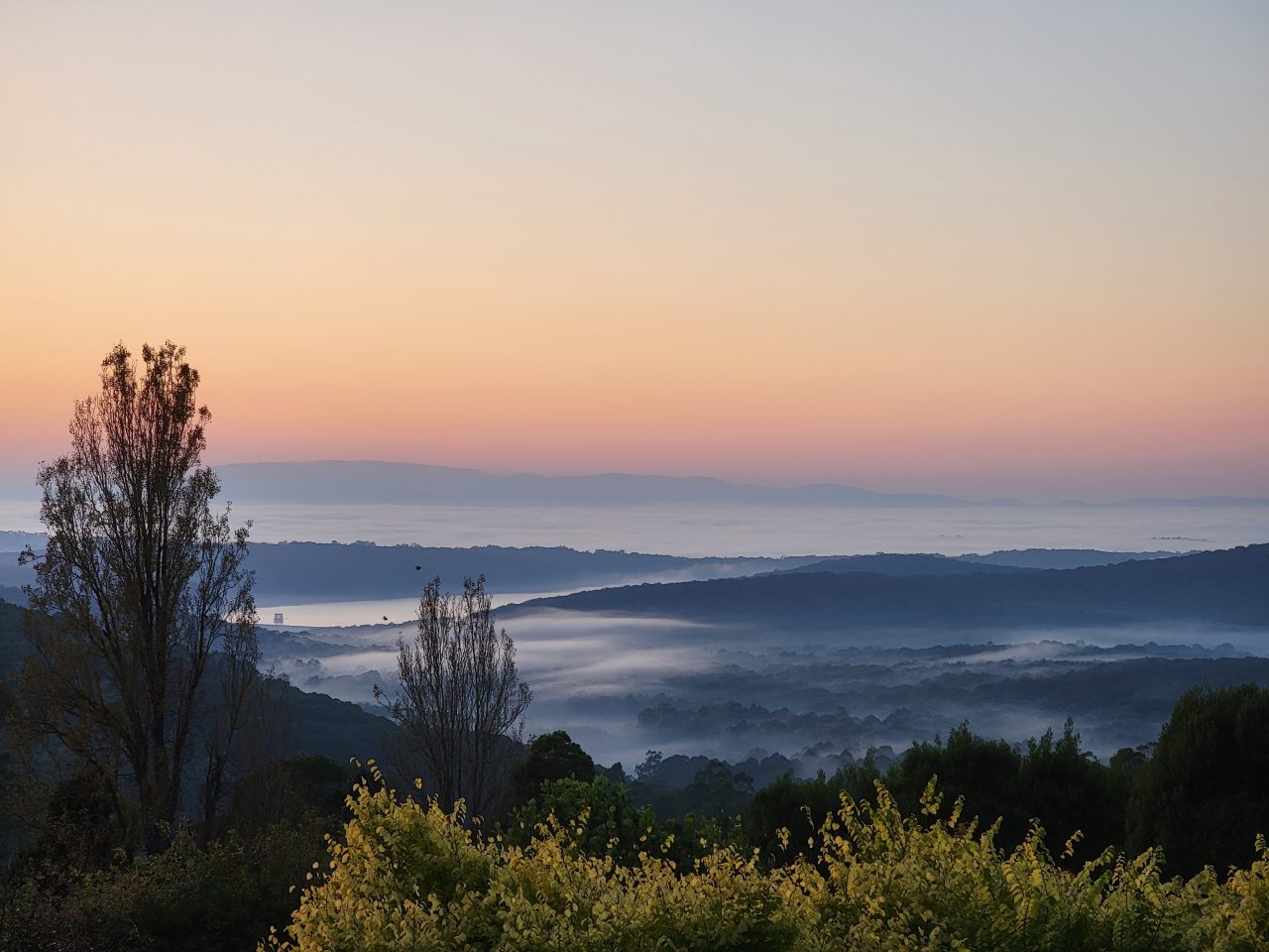 TOP 10, Tajemná podzimní mlha, dalších 20 do galerie