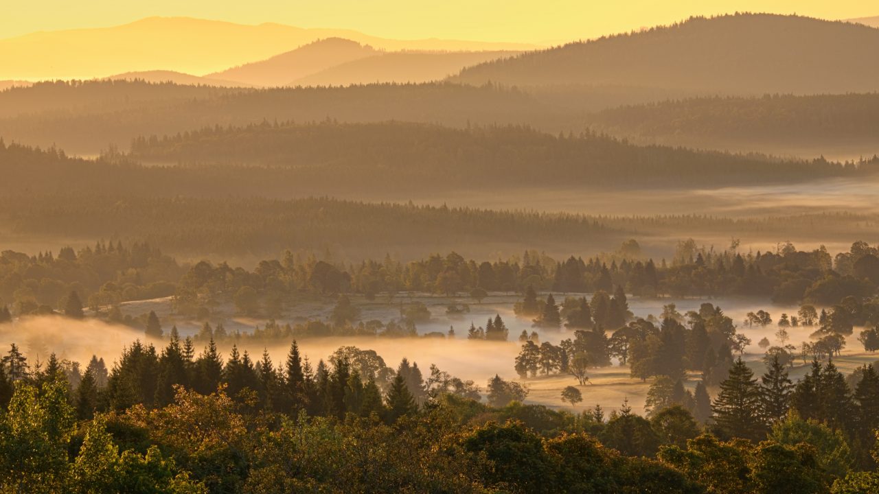 TOP 10, Tajemná podzimní mlha, dalších 20 do galerie