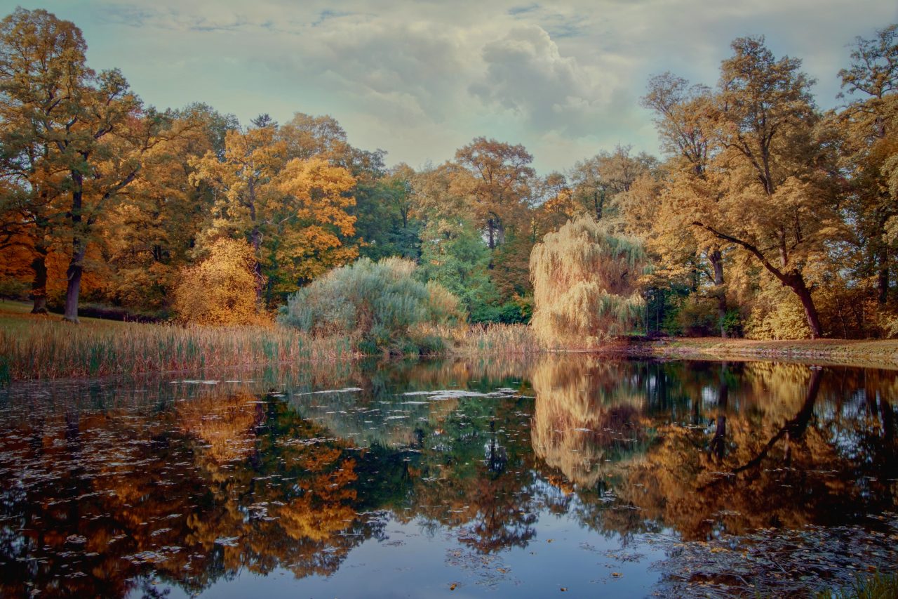 TOP 10 našich čtenářů: Barvy podzimu, Galerie - Laurencia Helásková