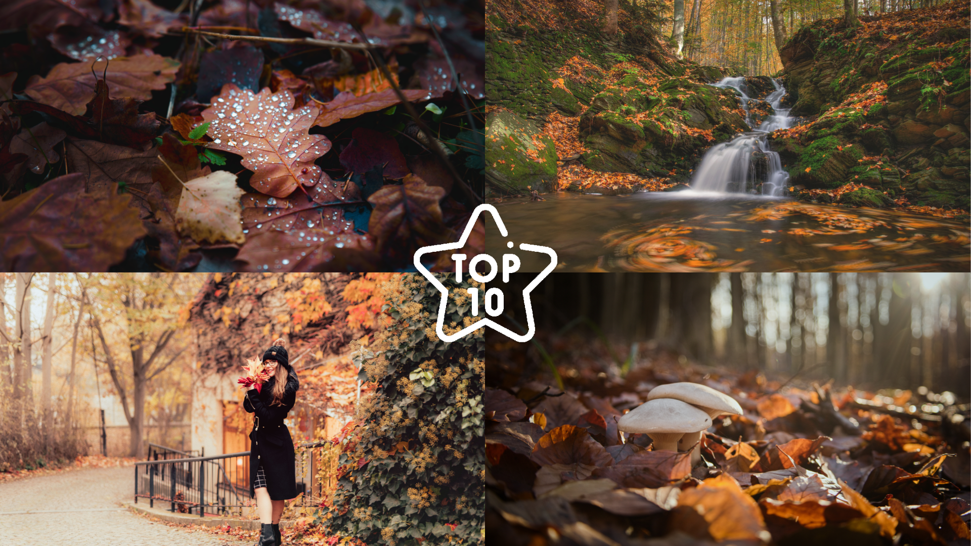 TOP 10 fotek našich čtenářů - téma Barvy podzimu
