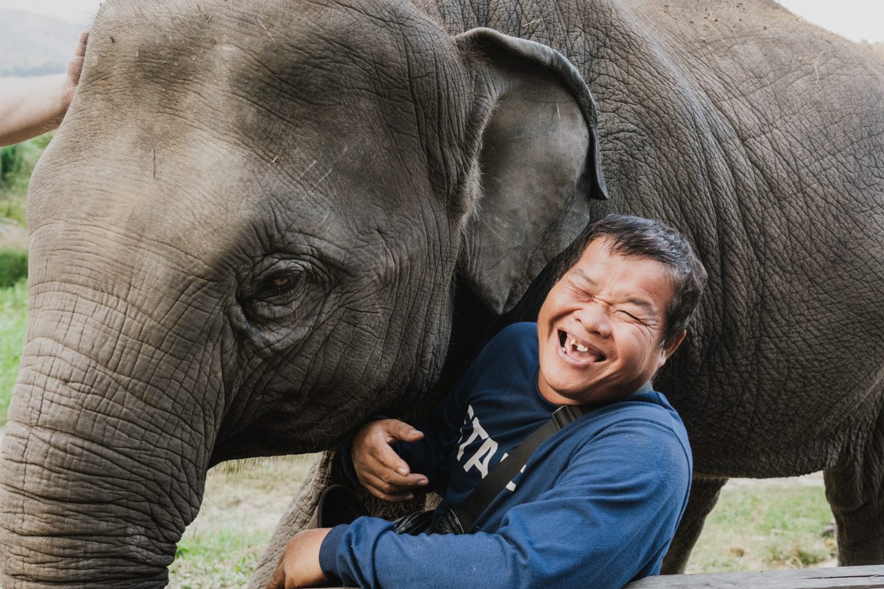 Thajsko, Čechvala, slon, smějící se muž