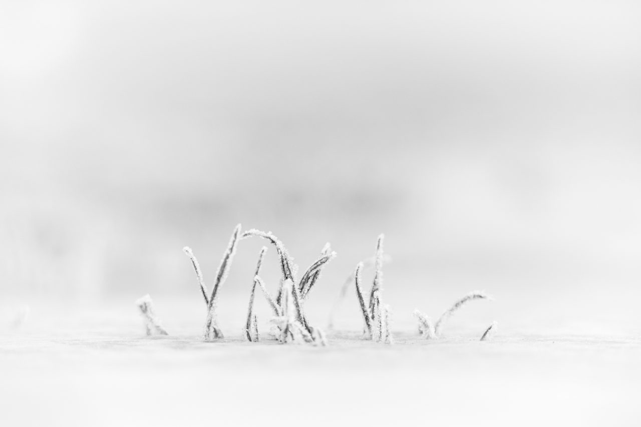 TOP 10, Černobílý minimalismus, Galerie, Marie Pančochová