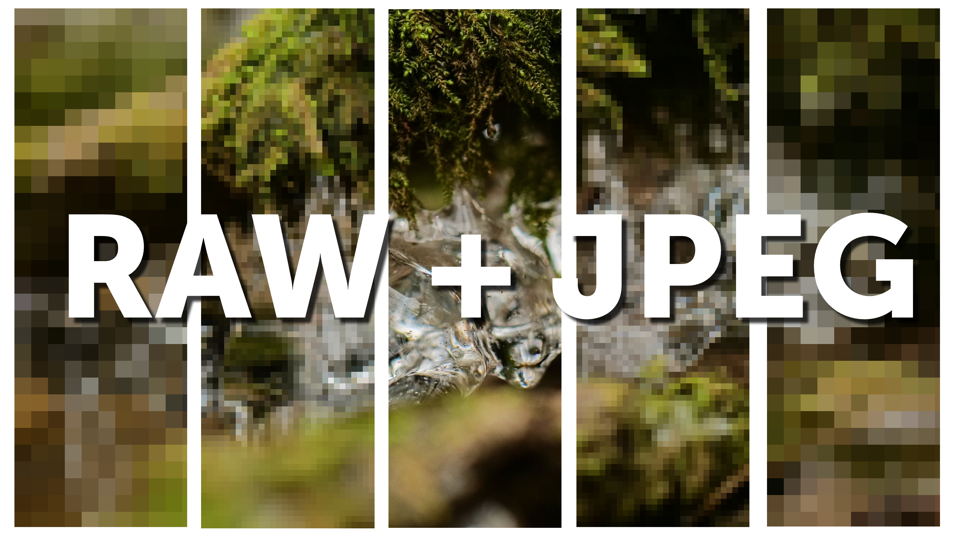 Ovládněte duo RAW + JPG
