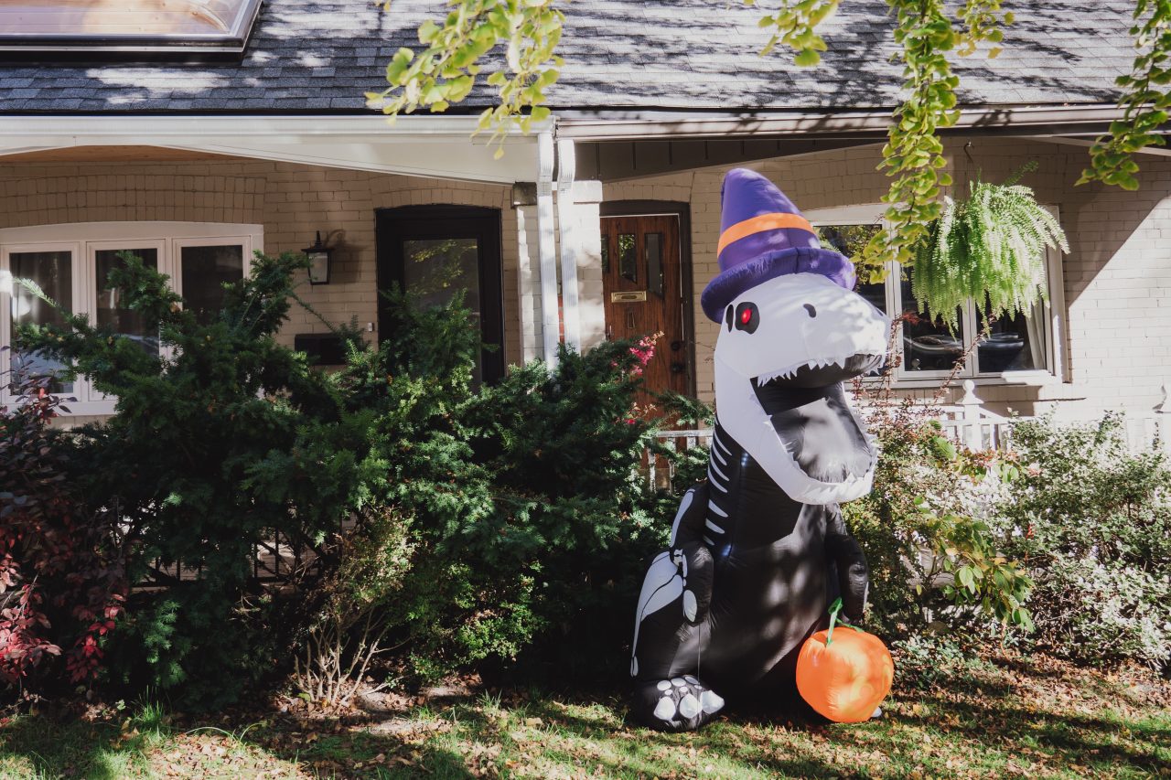 Vše, co potřebujete vědět o zelené barvě, halloween,