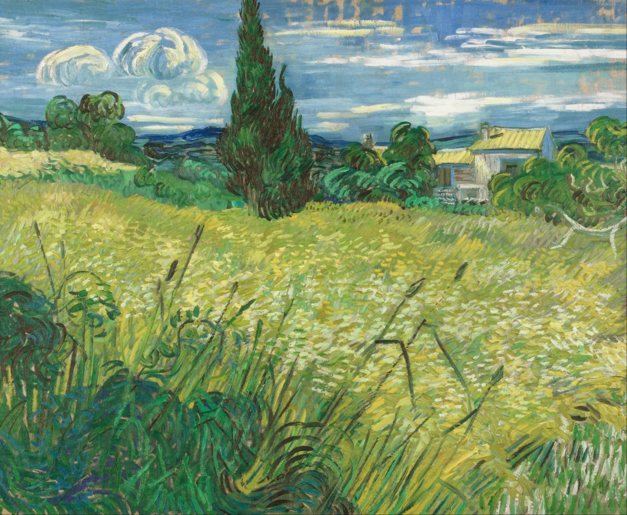 Vše, co potřebujete vědět o zelené barvě, obraz, Zelené pšeničné pole s cypřišem. Vincent Van Gogh (1889)
