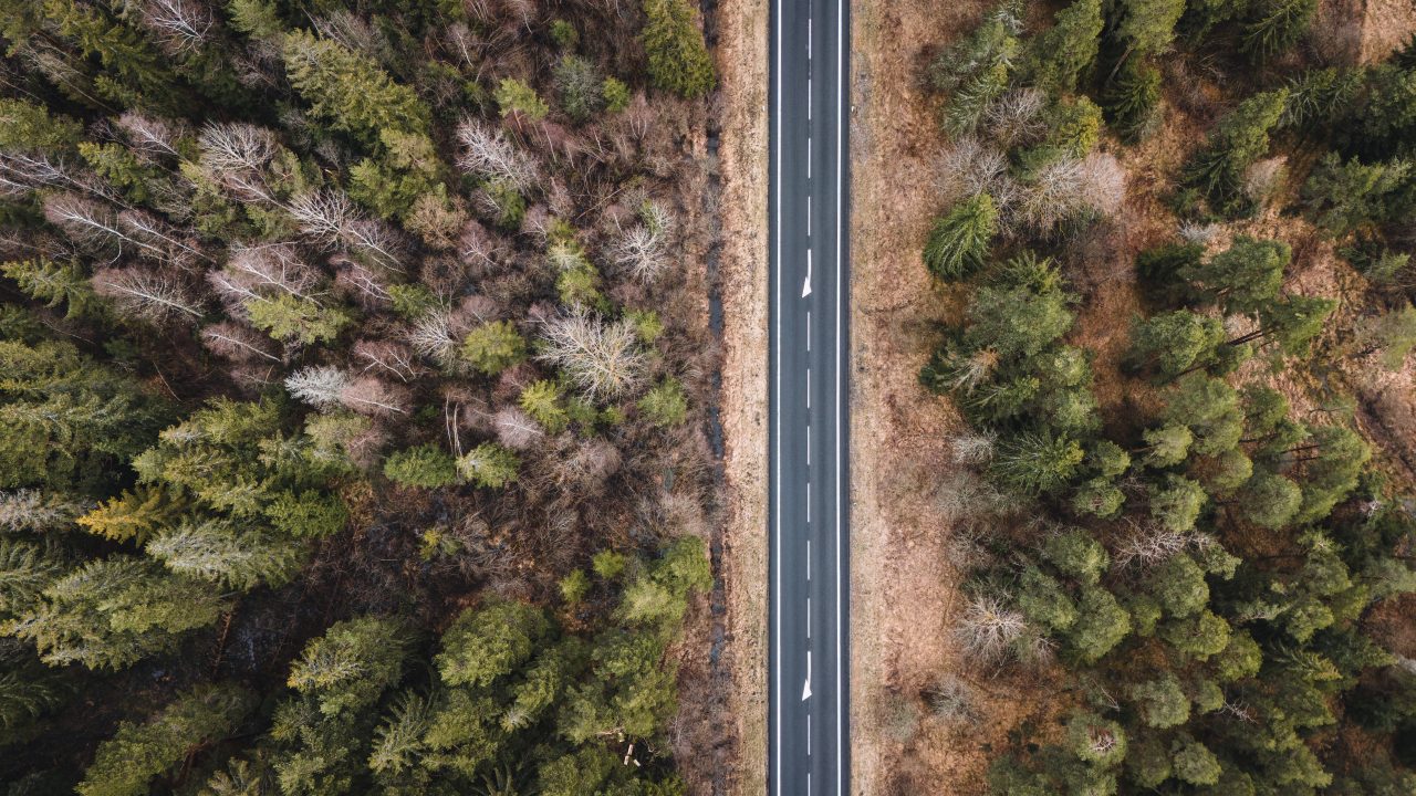 Focení dronem, les se silnicí